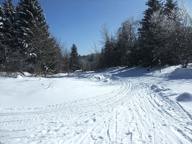 Harzurlaub, Langlauf, Bad Grund, Froehlich-Harz