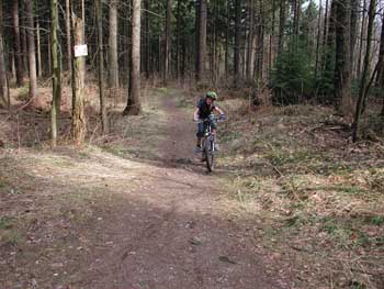 Mountainbiken Harz