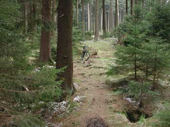 Mountainbike- Touren Harz, Mountainbiken Harz