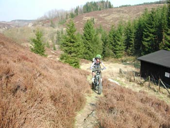 Mountainbike- Touren Harz