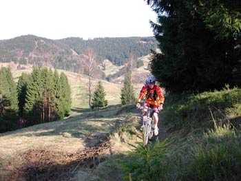 Mountainbike- Touren Harz