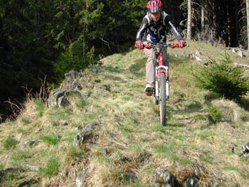 Mountainbiken Harz