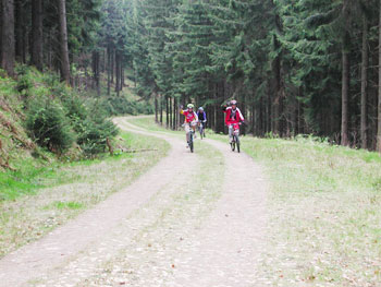 Mountainbike- Touren Harz, Bad Grund