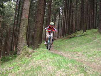 Mountainbiken Harz, Bad Grund